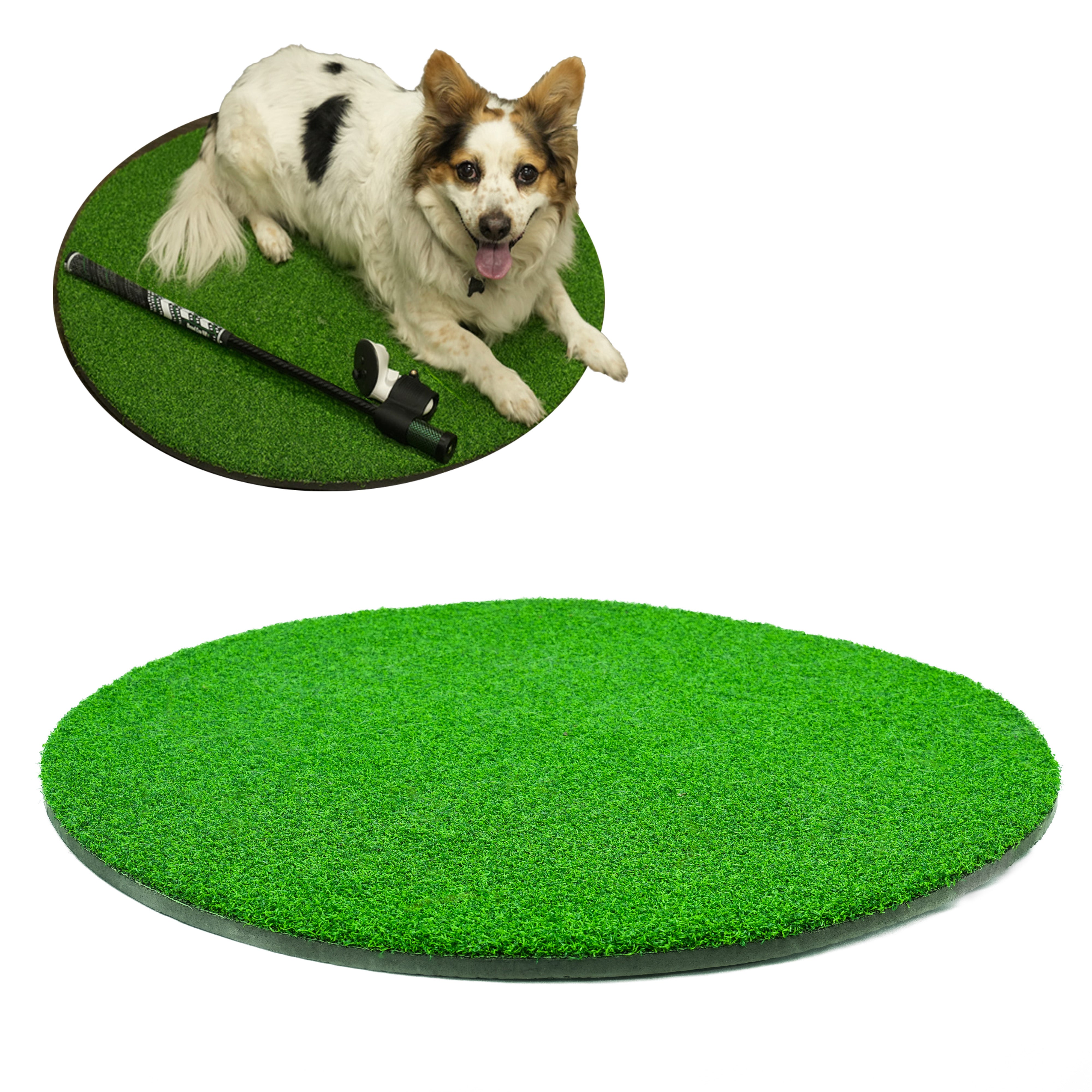 DriVR Elite Main Image. A dog sitting on a grass mat